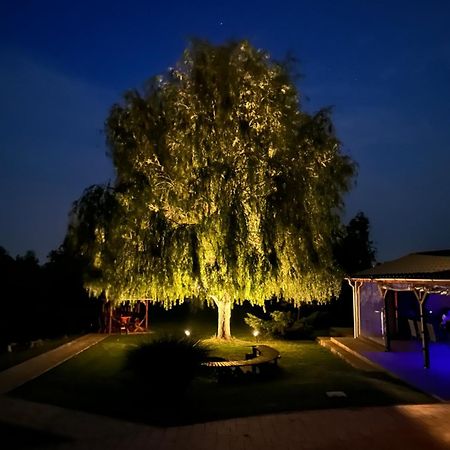 Апартаменты Battonya House Экстерьер фото