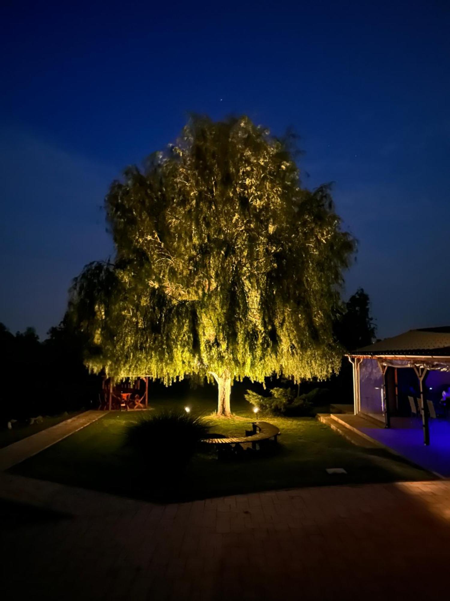 Апартаменты Battonya House Экстерьер фото